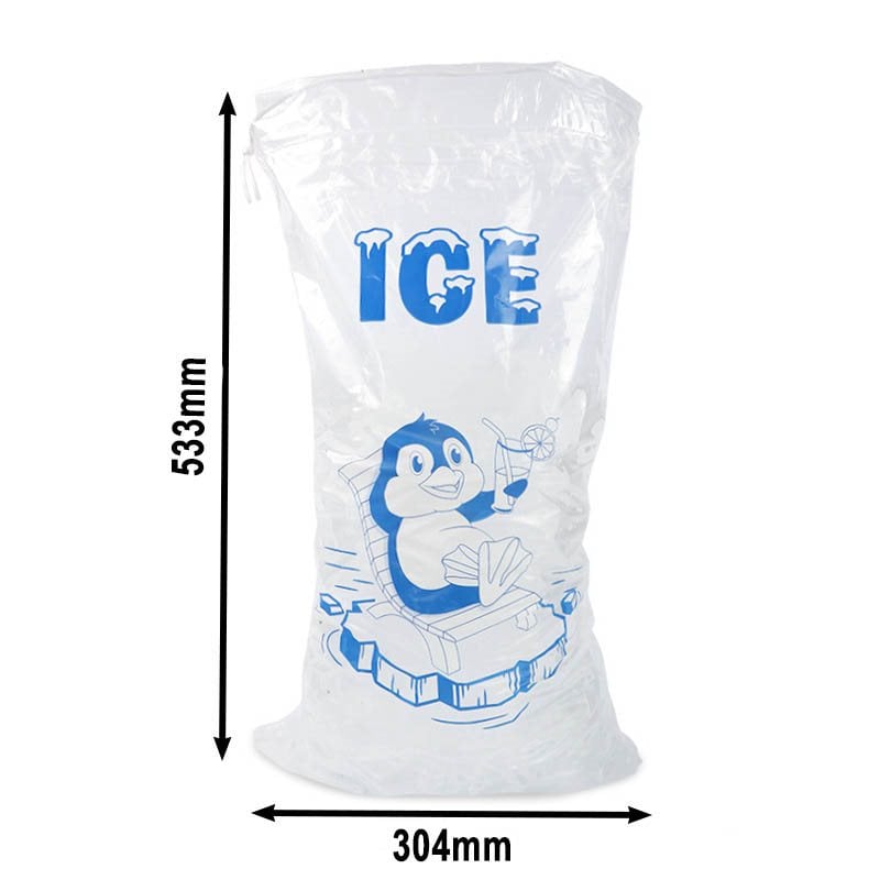 ICEBAG5, 