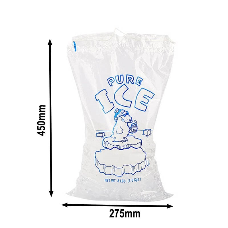 ICEBAG3.6, 
