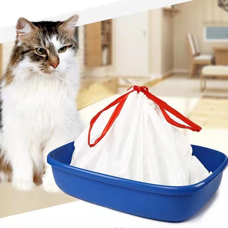 CATBAG-L, 