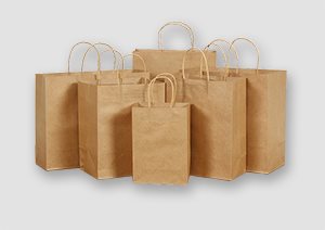 Brown Paper Bags - Twisted Handles