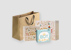 Custom Paper Bags Custom Packaging Wholesaler | Karle Packaging