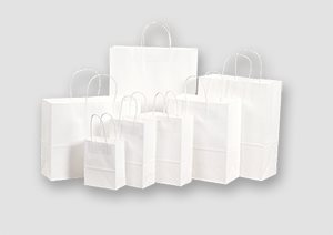White Paper Bags - Twisted Handles