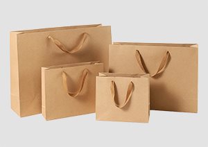 Senoir Kraft Paper Bags